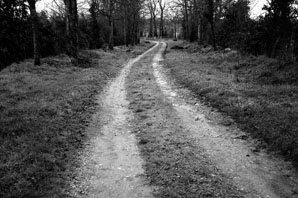 Forest Road-Normandy-James O'Mara